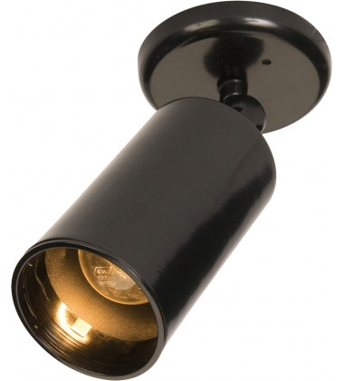  Spots 1-Light Can Wall/Flush Mount-(92010BK)-Maxim