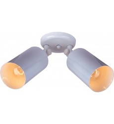  Spots 2-Light Can Wall/Flush Mount-(92011WT)-Maxim