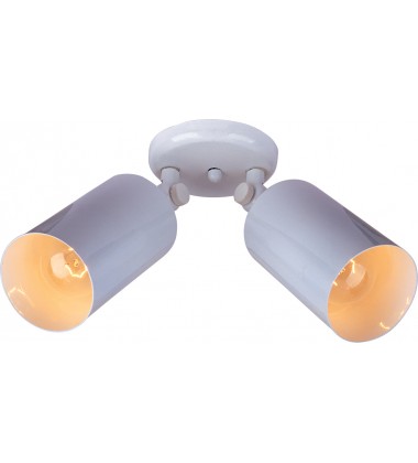  Spots 2-Light Can Wall/Flush Mount-(92011WT)-Maxim