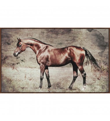  Cabbalus CPC20004-COS Printed Wall Art - Renwil