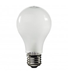  Galley LB013-3 Light Bulb - Renwil