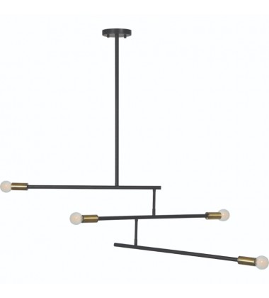  Tara LPC4255 Matte Black Antique Brass Ceiling Fixture - Renwil