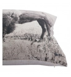  Russ PWFL1011 Malaga Square Pillow - Renwil