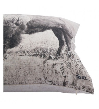  Russ PWFL1011 Malaga Square Pillow - Renwil