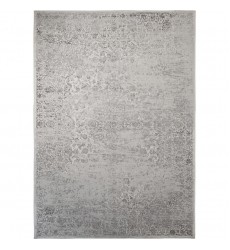  Monrovia 5' X 7' Indoor Area Rug RMOB-85732-58 - Renwil Rug