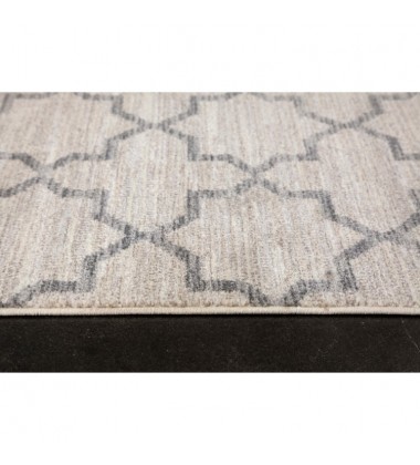  Monastery RMON-75519-58 Indoor Area Rug 5x8 - Renwil