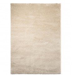  Wilma 5' X 7' Indoor Area Rug RWIL-01100-58 - Renwil Rug