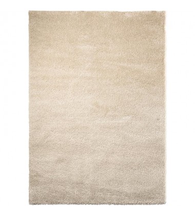 Wilma 5' X 7' Indoor Area Rug RWIL-01100-58 - Renwil Rug