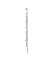  Andromeda Tall 6
