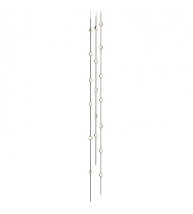  Andromeda Tall 6