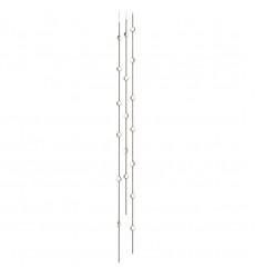  Andromeda Tall 6