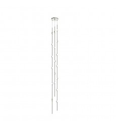  Andromeda Tall 6