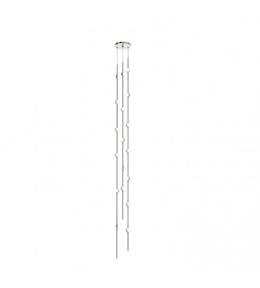  Andromeda Tall 6