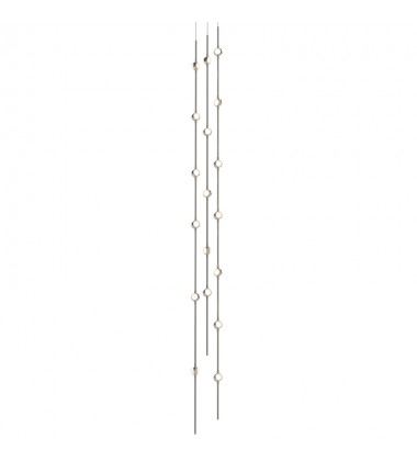  Andromeda Tall 6