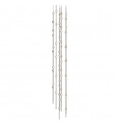 Andromeda Tall 12
