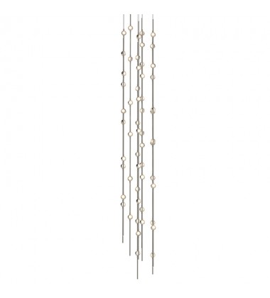  Andromeda Tall 12