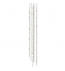  Andromeda Tall 12