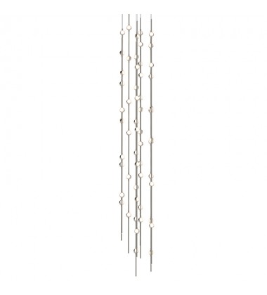  Andromeda Tall 12