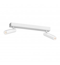 Aimable Double Surface Mount- (3367.98) -Sonneman  Aimable Double Surface Mount- (3367.98) -Sonneman