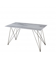  Tempered Glass Rectangle Dining Table(WV-D213G55X31)