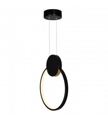  Pulley 10 in LED Black Mini Pendant (1297P10-1-101) - CWI