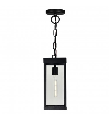  Windsor 1 Light Black Outdoor Ceiling Light (1695P7-1-101) - CWI