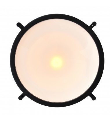  Show 1 Light Down Pendant With Black Finish (9602P16-1-101) - CWI