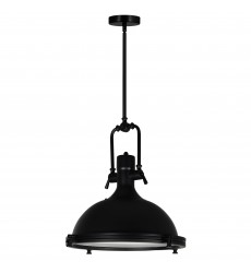  Show 1 Light Down Pendant With Black Finish (9602P16-1-101) - CWI