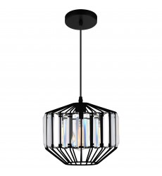  Alethia 1 Light Down Pendant With Black Finish (9942P10-1-101-A) - CWI