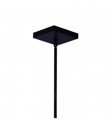  Assunta 10 Light Chandelier With Black Finish (9973P24-10-101) - CWI