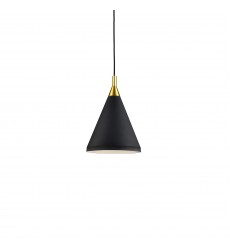  492710-BK/GD-Dorothy 10-in Black With Gold Detail 1 Light Pendant