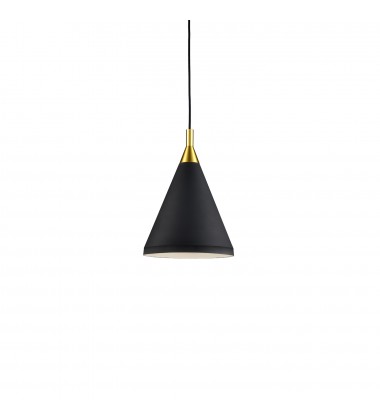  492710-BK/GD-Dorothy 10-in Black With Gold Detail 1 Light Pendant