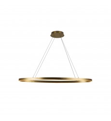  LP79140-BG-Ovale 40-in Brushed Gold LED Linear Pendant