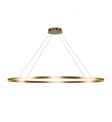  LP79153-BG-Ovale 53-in Brushed Gold LED Linear Pendant