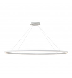 LP79153-WH-Ovale 53-in White LED Linear Pendant