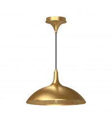  PD627914BG-Abel 14-in Brushed Gold 1 Light Pendant