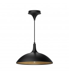  PD627914MB-Abel 14-in Matte Black 1 Light Pendant
