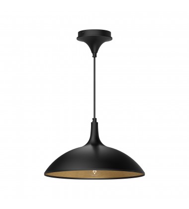  PD627914MB-Abel 14-in Matte Black 1 Light Pendant