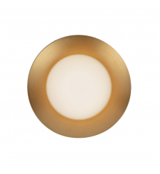 WS77909-BG/OP-Cleo 9-in Brushed Gold/Opal Glass LED Wall Sconce