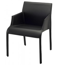  Delphine Dining Chair (HGND219)