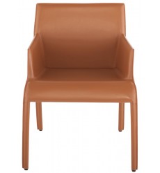  Delphine Dining Chair (HGND222)