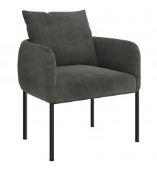  Petrie-Accent Chair-Charcoal/Bk Leg (403-556CH/BK) - Worldwide HomeFurnishings