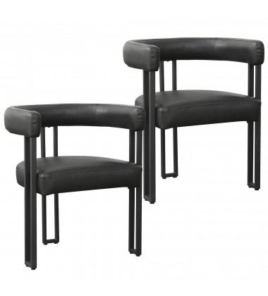  Worldwide-DINING CHAIR, SET OF 2-(202-108PUBK)