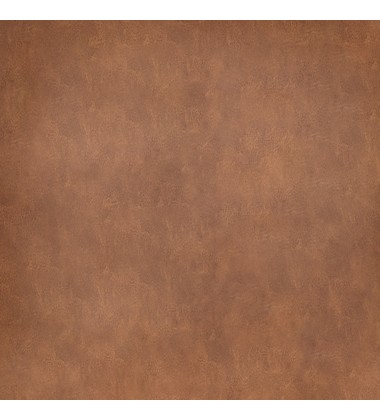  Worldwide-DINING CHAIR, SET OF 2-(202-108PUSDL)