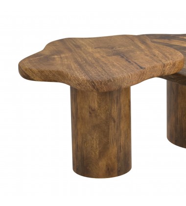  Worldwide -MAYAL-COFFEE TABLE SMALL-WALNUT - (301-149SM_WAL)