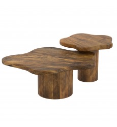  Worldwide -MAYAL-2PC COFFEE TABLE SET-WALNUT - (303-149WAL)